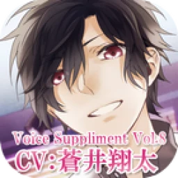 Icono de Voicesupplement-series2-